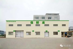 萬眾期待，終于等到你——華西農副產品交易中心水果區9月18日盛大開業